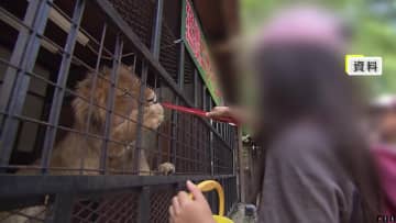 300匹以上の動物はどこへ…“日本一危険な動物園”ノースサファリサッポロが閉園　受け入れ先「調整中」も専門家「ハードル高い」