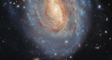 ハッブル宇宙望遠鏡が観測した“さそり座”の渦巻銀河「NGC 6000」