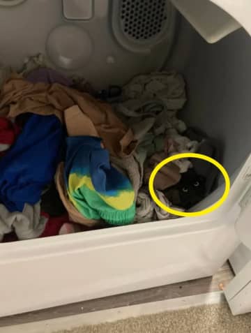 【画像】二度見……いや……三度見させちゃう錯覚写真