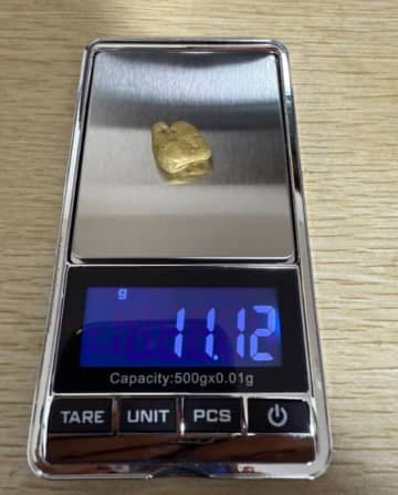 【大物を発見！？】砂金採りに行ったら、見つかったのは11.12gの？？？…あまりの大きさに「これいくらくらいになるの」「米が三俵くらい買えそう」と驚きの声続出