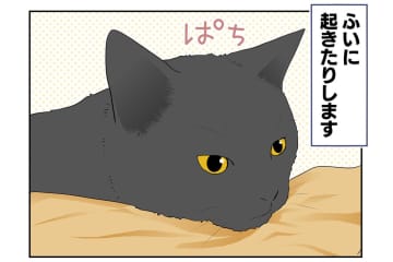 【マンガ・老猫日誌＃23】年々、要望が増えていく猫…18歳の元保護猫・桃姐