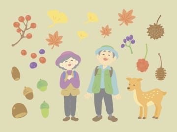 シニア世代におすすめの紅葉狩り｜東京で楽しむ秋の魅力と安心ポイント