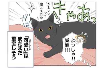 【マンガ・老猫日誌＃22】猫、パワーワードで覚醒する？ 18歳の元保護猫・桃姐