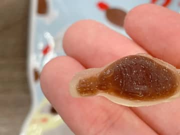 コンビニで見つけたのは…　よく見る『魚型の容器』をイメージしたグミに大衝撃！