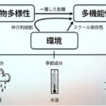 龍谷大学の国際共同研究グループ　生物多様性が生態系を支え続けることを長期モニタリングで確認