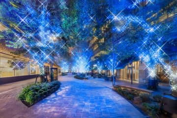 東京ミッドタウン日比谷25年イルミネーション、ツリーがディズニー映画『ズートピア2』仕様に