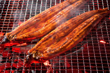 意外と知らない、【骨粗しょう症の予防】にいい食べ物とは？よくつまずく人にオススメ