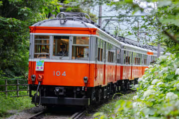 “箱根のアイコン” 車齢100年越えの登山電車「モハ1形・モハ2形」、2028年1月に引退へ