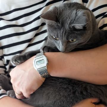 CASIO CLASSICの新作が先行発売♡シルバー＆ゴールドで魅せる腕時計