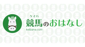 六本木ヒルズ「けやき坂イルミネーション」への協賛