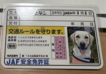 【愛犬の免許証？】これは可愛すぎる反則技…！犬フェスのJAFブースで貰える安全免許証に「良い記念ですね～」と愛犬家メロメロ
