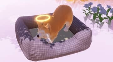 死んだ犬となって天国で飼い主を探すADV『My Little Puppy』Steam版11月発売決定！絶対泣かせにきている新トレイラー公開