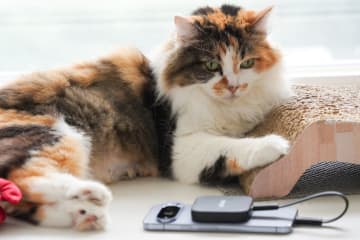 Androidスマホにも「写真バックアップ」アプリが対応！ さっそく使ってみよう【自宅Wi-Fi使いこなし】