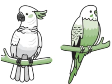 視力は人間の10倍もある！？ 鳥が進化の過程で得た能力とは【眠れなくなるほど面白い 図解 鳥の話】
