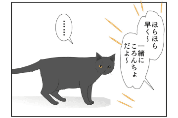 【マンガ・老猫日誌＃24】なぜか寝ない猫…18歳の元保護猫・桃姐