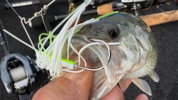 【完全に秋モード突入】「とにかく釣るだけなら最強すぎる…」ルーシー無双に巻き物も好調！