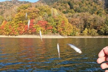 湖上からの「360度紅葉」が美しすぎる！　絶景＆天ぷらで「釣り人の特権」満喫する秋のワカサギ「10月・丸沼」