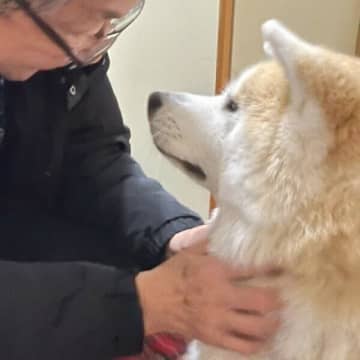 毎日17時に玄関でパパを待つ秋田犬の“おかえり”習慣、その心理とは？獣医師が解説