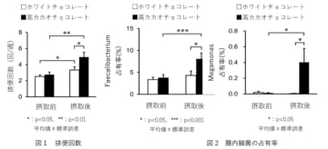高カカオチョコレートの摂取が便秘傾向の女性の便通を改善、 腸内フローラにおいて酪酸産生菌を増加させる