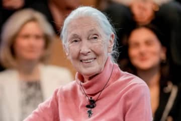 チンパンジー研究で革命をもたらした霊長類学者ジェーン・グドールが91歳で死去。未来へ残したメッセージ