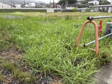 外国人の土地取得、国籍の届け出を義務付けへ 藤井氏「これは素晴らしい話ですよね」