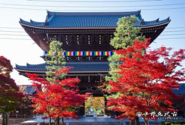 通常は非公開の京都「くろ谷 金戒光明寺」で秋の特別拝観を開催！