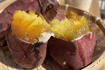 麻布台ヒルズ「やきいも広場」極蜜焼き芋＆希少品種"ホワイトスイート"など大集結