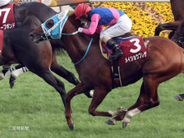 【京都大賞典】⑦人気以下で馬券圏内はマカヒキのみ！当日買いは何番人気まで！？Ｇ Ⅰ 組で見る攻略POINT