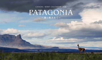 岩合光昭、EOS R1で撮る！ パタゴニアの野生動物で綴るキヤノン/WWFカレンダー2026「PATAGONIA～風に吹かれて～」
