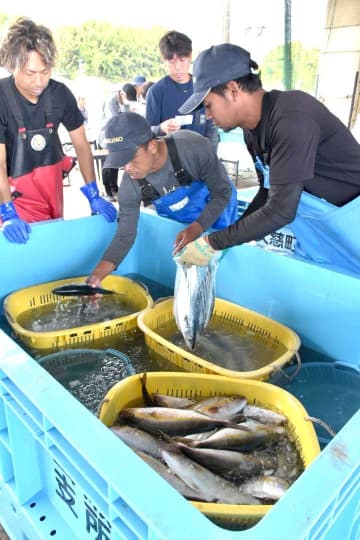 来たれ若者「漁師塾」　日立市水産振興協　従事者減に危機感　生活費助成で後押し　茨城