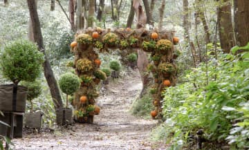 秋の箱根が一年で最も美しくなる季節！ニコライ・バーグマンが描く花とアートのハロウィン散歩