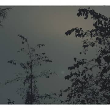 当真伊都子、優しさを湛えた景色が広がるソロ・ピアノ作品集『Beside the Moon』を発表