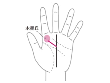 地位と富を得る大成功者になる可能性を持つ『運命線から上昇する線』とは！？【手相の教科書】