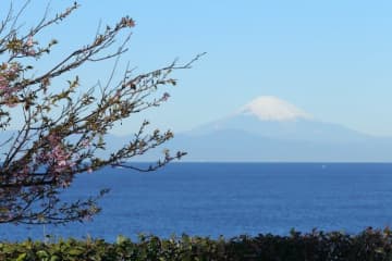 三浦半島・油壺マリンパーク跡地にリゾートエリア　京急と三井不動産