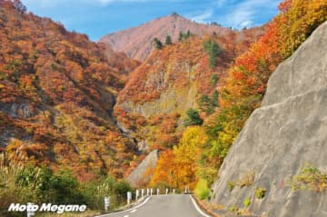 バイク＆ドライブシーズンに行きたい！ 紅葉＆秋の気配を感じる絶景ルート3選【モトメガネ編集部厳選】