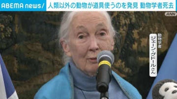 動物学者ジェーン・グドール氏 91歳で死去 人類以外の動物が道具使うことを発見