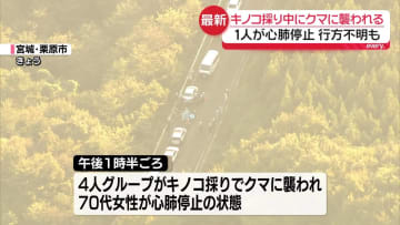キノコ採り中にクマに襲われ、1人心肺停止　1人が行方不明　宮城・栗原市