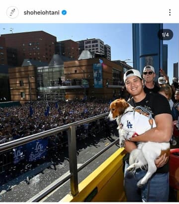 大谷翔平の愛犬デコピン、特製クッションにもたれ...まったり＆アンニュイ顔　「可愛すぎて震える」