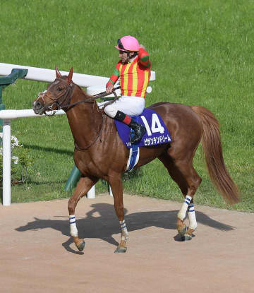【凱旋門賞】最年長のダークホース・ビザンチンドリーム 無尽蔵のスタミナで凱旋門賞制覇を目指す