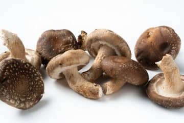 「しいたけ」を買ったらやらなきゃ損！プロが教えるしいたけの1番おいしい食べかた