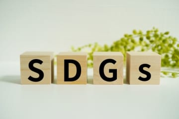 採択から10年――持続可能な開発目標（SDGs）の現在とESG