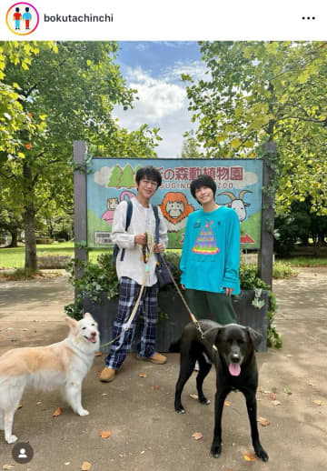 37歳・手越祐也、新ドラマ『ぼくたちん家』の役作りでイメージ一新！「黒髪の手越くん新鮮です」「目の保養」