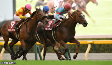【毎日王冠】ダービー組で前走③人気以上なら勝率100％!? 過去10年の傾向から考える攻略ポイント