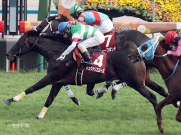 【京都大賞典】優勝馬の半数以上を輩出！まだまだ目が離せない産駒とは！？血統で見る攻略POINT