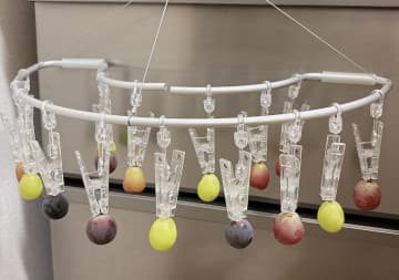 これは一体…洗濯バサミに吊るされたぶどう。実はこれ、風邪でイベントを休んだ子供へのママの優しさだった！？