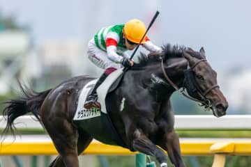【東京7R】未勝利馬サラスヴァティーがライバルを完封