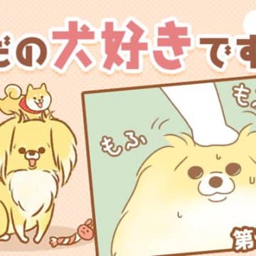 ただの犬好きです。【第331話】「帰省しました⑥」