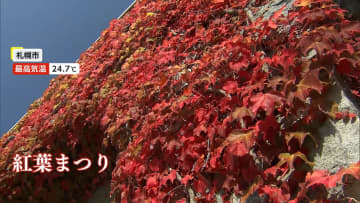 10月最初も週末は北日本で“季節外れの夏日”に…北海道は「紅葉まつり」開催され4600本のコキアが色づき始める　秋田では「うどんの祭典」に舌鼓