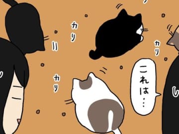 いつものごはん風景が…いったい何ごと？【てらねこミー子の日常】