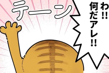 「猫がおもしろい形になっている」→「こうなりますよね（笑）」　慌ててカメラを構える飼い主　悲しい“あるある”を描いた漫画に反響
